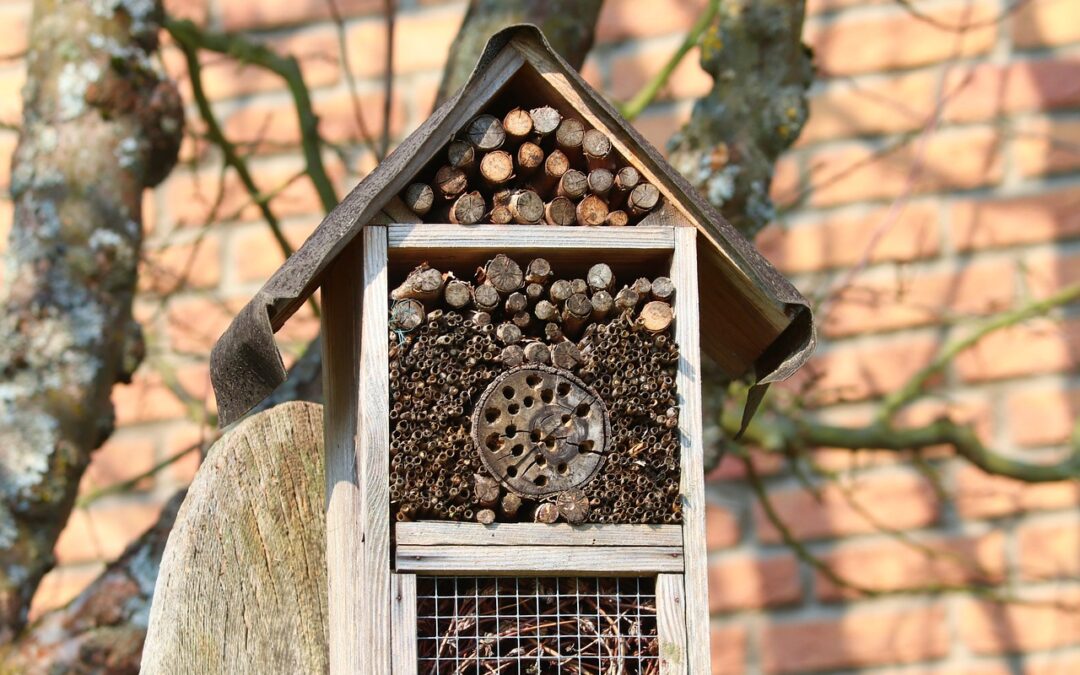 Atelier collaboratif : fabrique un hôtel à insectes