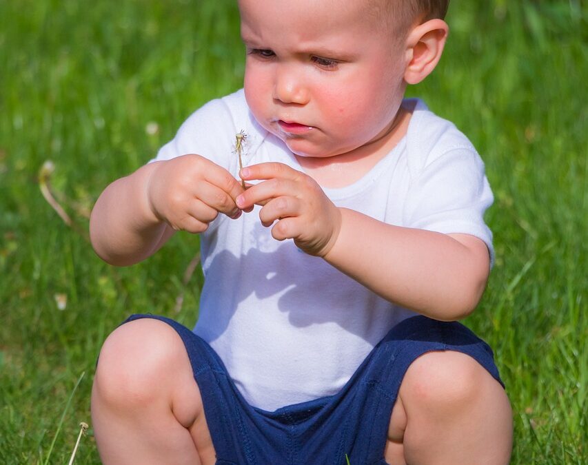 Bébé bouquine et jardine